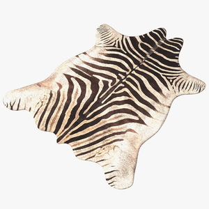 3D Zebra Hide Rug with Fur model