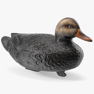 3D Black Duck Decoy