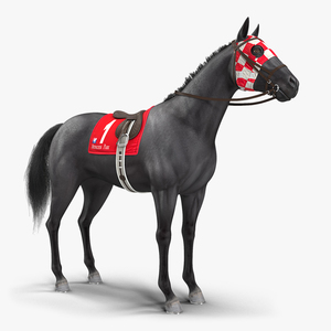 Black Racing Horse Fur 3D