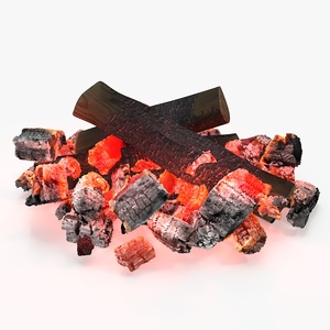 Smoldering Firewood 3D model