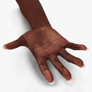 Female Hand African American 2 Rigged 3D