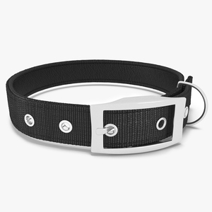 Pet Collar with Buckle 3D