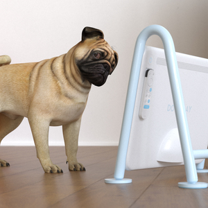 Pug Dog with Dogsplay TV 3D model