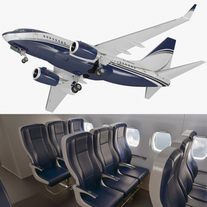 3D model Boeing 737-600 with Interior Rigged