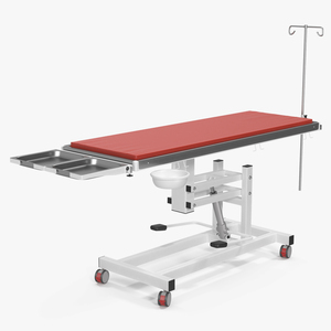 3D model Veterinary Examination Table Rigged