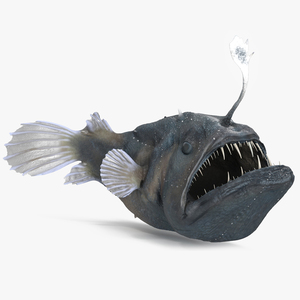 3D Anglerfish Rigged for Maya