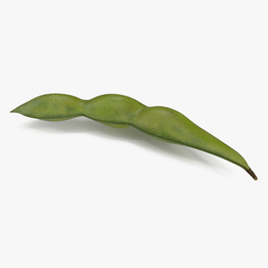 Closed Green Soybean Pod 3D model