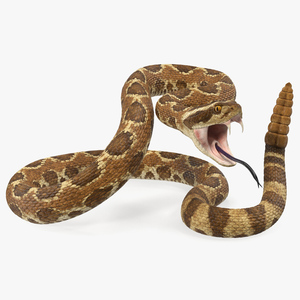 Light Rattlesnake Attack Pose 3D model