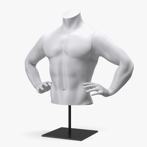 Man Torso Sports Mannequin White 3D