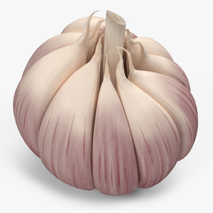 3D model Head of Garlic White