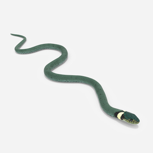 3D Water Snake Green Crawling