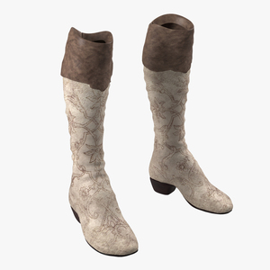 3D model Knee High Boots