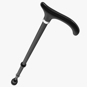 Adjustable Walking Cane with Curved Handle 3D