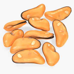 3D Bunch of Peeled Mussels model