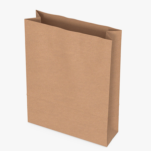 3D Paper Shopping Bag model