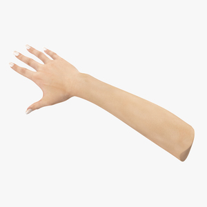 European Woman Hand Base Pose 3D model