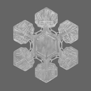 Realistic Snowflake 3D model