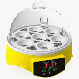 3D Chicken Egg Incubator