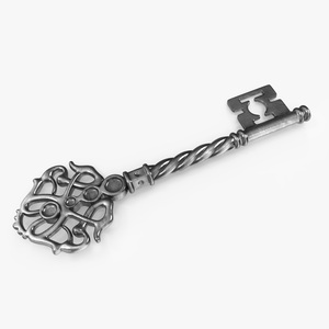 Fantasy Skeleton Key Silver 3D