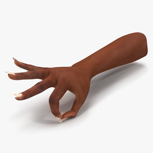 3D model Female Hand African American Pose 4