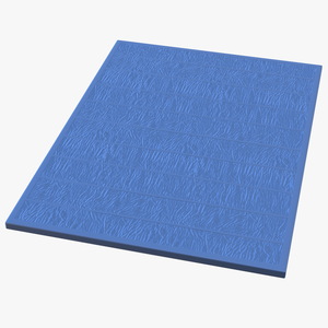 3D model Large Flooring Sports Mat