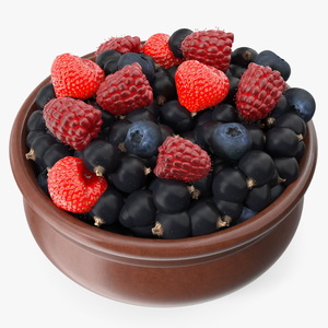 3D Bowl of Various Berries model