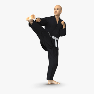 3D Japanese Karate Fighter Black Suit Pose 2