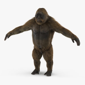 3D Gigantopithecus A-Pose Fur