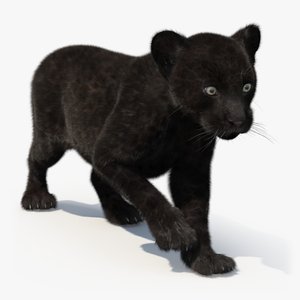 3D model Panther Cub Wary Pose Fur