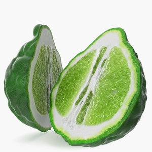 3D Bergamot Half model