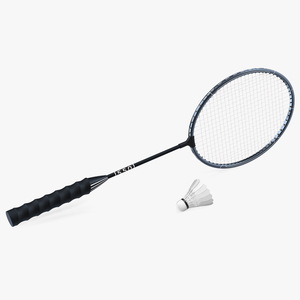 3D Professional Carbon Fiber Badminton Racket and Feather Shuttlecock