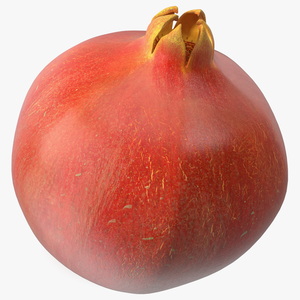 Fresh Pomegranate 3D