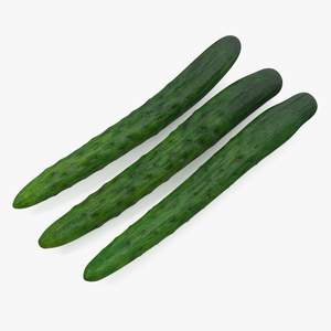 3D Japanese Cucumbers model