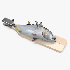 Fish Cleaning Board with Tuna 3D model