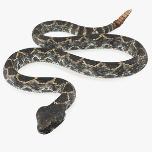 3D model Dark Rattlesnake Crawling Pose