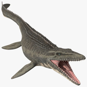 Mosasaurus Swimming 3D model