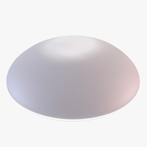 Moderate Textured Female Breast Implant 3D model