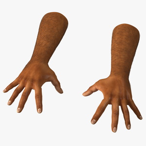 3D Hairy Human Male Hands Fur