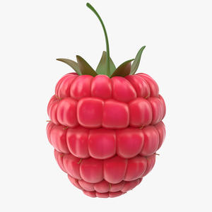 3D model Fresh Raspberry