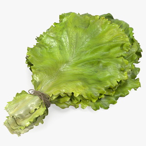 3D model Bunch of Lettuce Fur