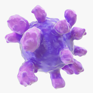 3D model Virus Cell