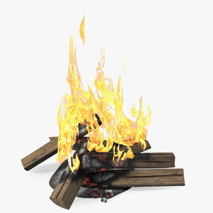 3D Fire from Wooden Logs