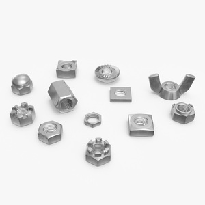 Chromed Steel Nuts Kit 3D