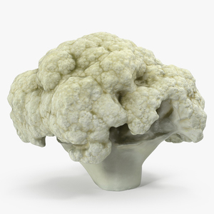 Cauliflower Piece 3D