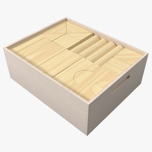 3D model Wooden Constructor in Box