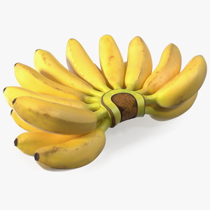 3D Old Ripe Banana Bunch