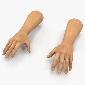 3D Man Hands 2