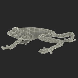 3D model Red Eyed Tree Frog Pose 3