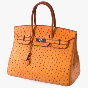 3D model Hermes Birkin Bag Ostrich