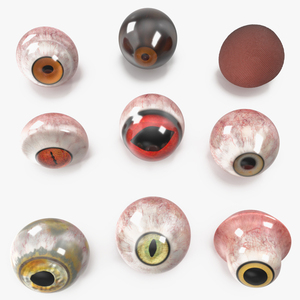 3D model Realistic Animal Eyes Set